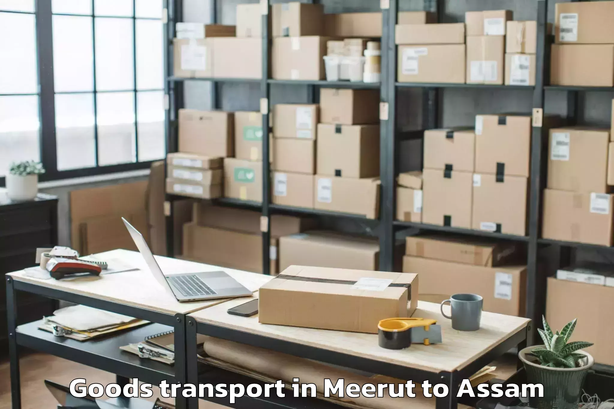 Reliable Meerut to Dibrugarh University Goods Transport